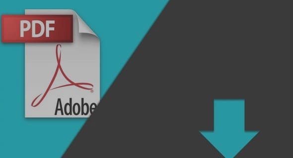 Ville, espace vert et développement durable