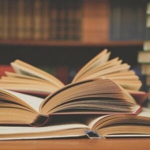 La narration hétérodiégétique