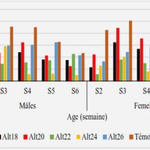 La modélisation du risque sismique