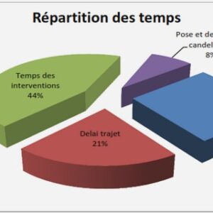 Définitions de la firme multinationale