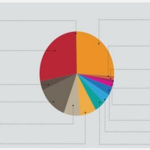 Les dimensions de la parentalité