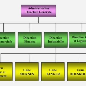 Projet de création d'une entreprise de production