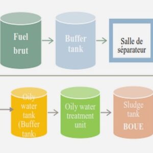 La relation des activités des entrepreneurs et la croissance économique