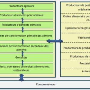 Mémoire LA FISCALITE AU SERVICE DU DEVELOPPEMENT