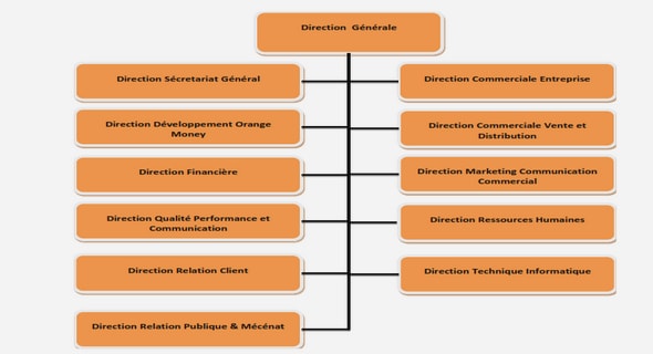Les systèmes biologiques : modélisation & analyse 