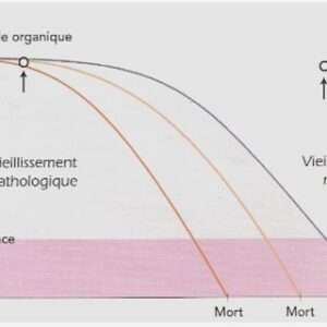 Les différentes formes d’alopécies