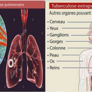 Evaluation de la fonction ventilatoire