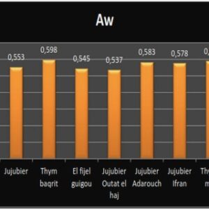 Définition de l’audit de la maintenance