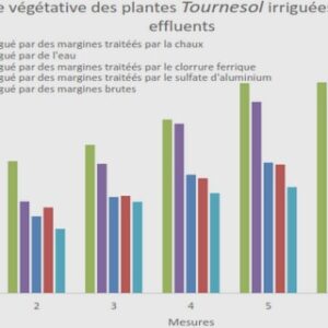Modélisation multi-échelle tenant compte des effets visqueux