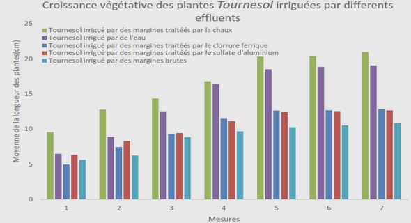 Création d’une unité de production d’huile essentielle