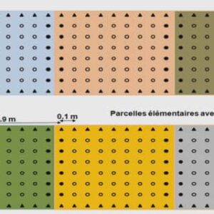 L'aube de la réflexion