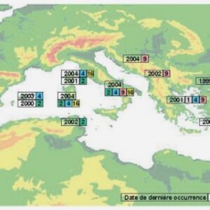 A propos des agences de voyages spécialisées dans les voyages d’affaires