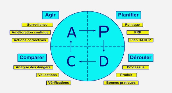 Notions de responsabilité et de faute
