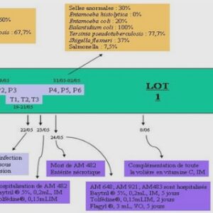 Études des protecteurs existants chez les concurrents