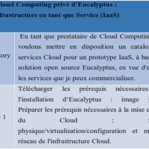 MAÎTRISE EN ÉTUDES LITTÉRAIRES NARCISSISME, AMBIVALENCE ET ABJECTION