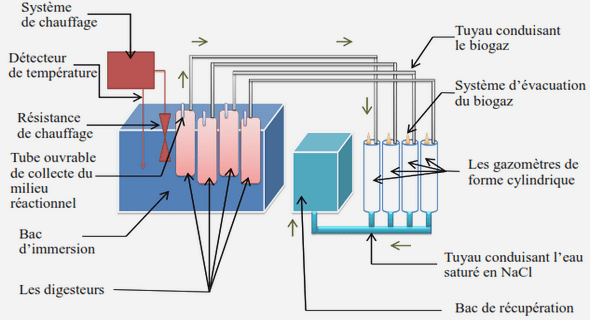 AEMO asynchrones avec coûts d’évaluation hétérogènes 