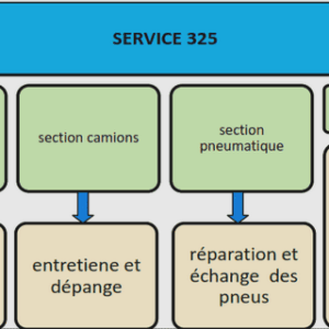 Etude critique de flotte des bulldozers D11