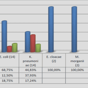 Le rôle du dimorphisme sexuel de taille