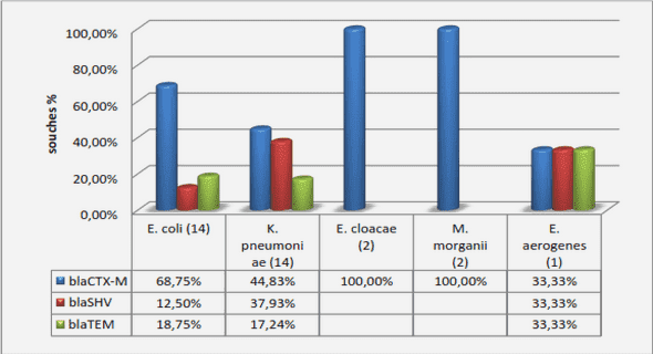 Capacité portante des fondations superficielles
