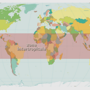 Importance des légumineuses sur la fertilité du sol