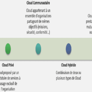 MISE AU POINT D’UN TEST ENZYMATIQUE DE DÉTECTION DE L’ACTIVITÉ DE LA SOD