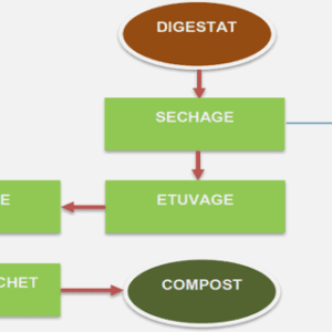 Importance de l’élevage dans l’économie du Mali