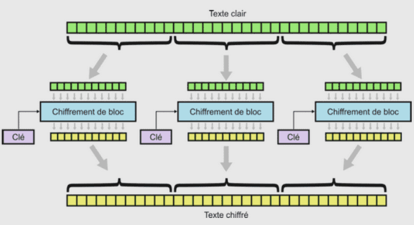 Ingénierie des domaines dans les PZN-PT 