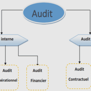 Les outils d’audit interne