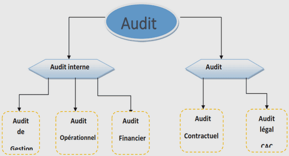Audit opérationnel (évaluation des procédures du cycle achats)