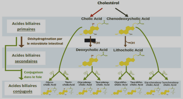 Pré-éclampsie a la maternité de l’HGPR Jason Sendwe