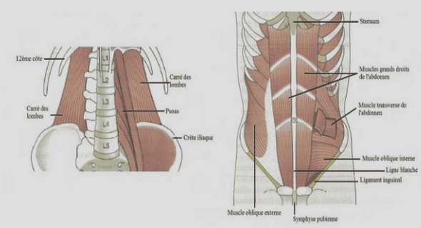 Surveillance de la fistule artério-veineuse