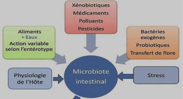 Aspects épidemio-cliniques de l’endocardite infectieuse