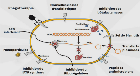 Le fardeau des maladies chroniques dans le monde, au Canada et au Québec