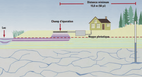 LA PRIMATOLOGIE UN OUTIL DE CONSERVATION (CAS DES LEMURIENS)