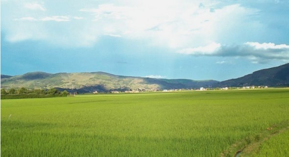 Potentialités des lambeaux forestiers en vue de la restauration des forets
