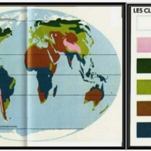 Localisation géographique de la foret des MIKEA