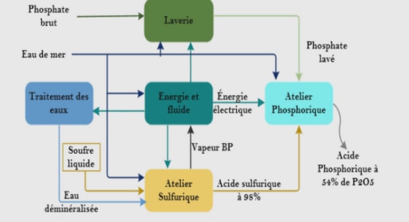 Extraction et caractérisation physico–chimique de l’huile essentielle