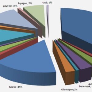 La globalisation du tourisme