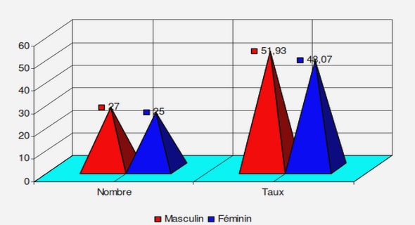 Piston et Processus de fabrication