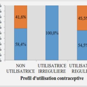 Réalisation du VSM (Value Stream Mapping)